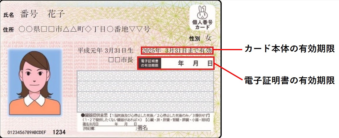 マイナンバーカードの見本